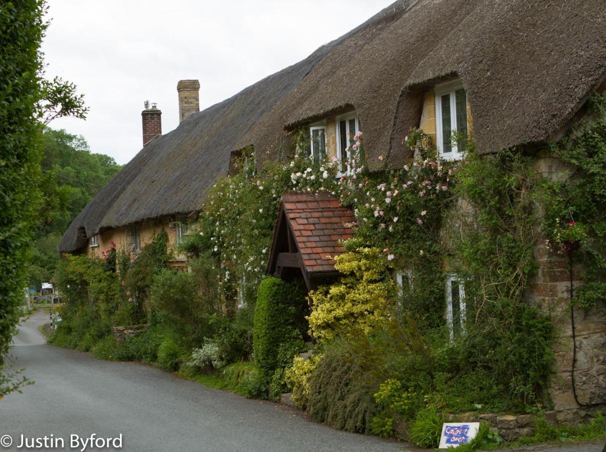 Lower Farm Cottage Beaminster Exterior photo
